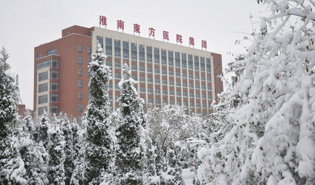 東　方　雪　景
