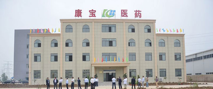 “康寶藥業(yè)”，多元經營的支柱